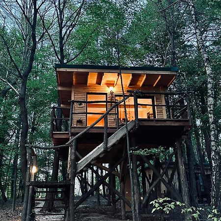 Living Forest Resort Moravske-Toplice Eksteriør bilde