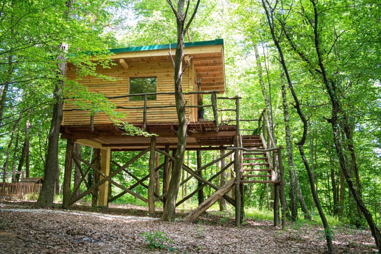 Living Forest Resort Moravske-Toplice Eksteriør bilde