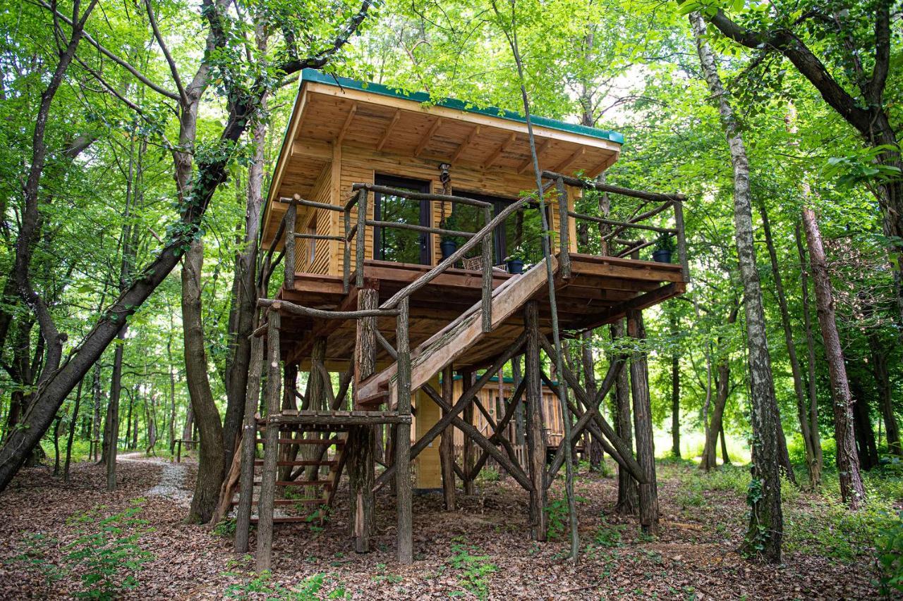 Living Forest Resort Moravske-Toplice Eksteriør bilde