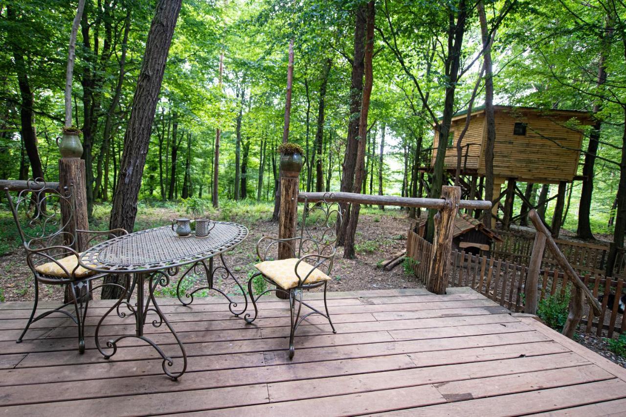 Living Forest Resort Moravske-Toplice Eksteriør bilde