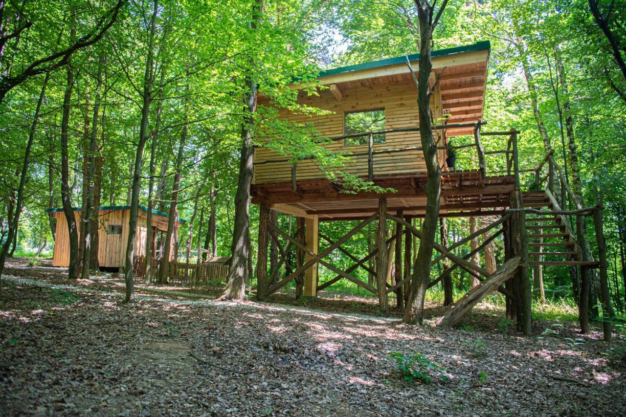 Living Forest Resort Moravske-Toplice Eksteriør bilde