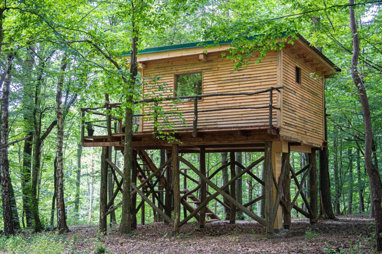 Living Forest Resort Moravske-Toplice Eksteriør bilde