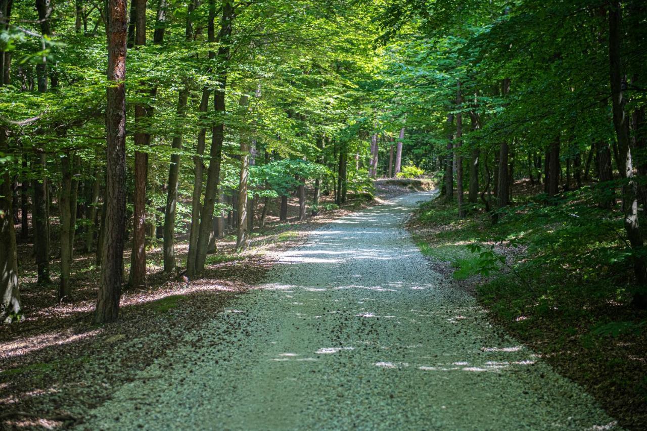 Living Forest Resort Moravske-Toplice Eksteriør bilde