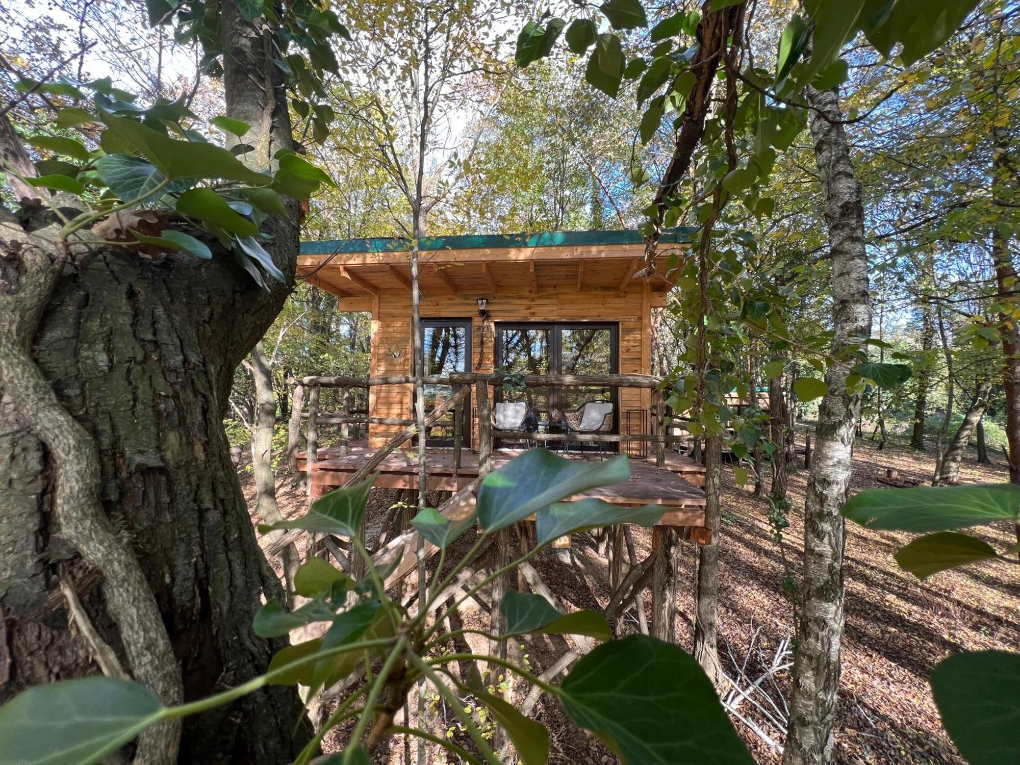 Living Forest Resort Moravske-Toplice Eksteriør bilde