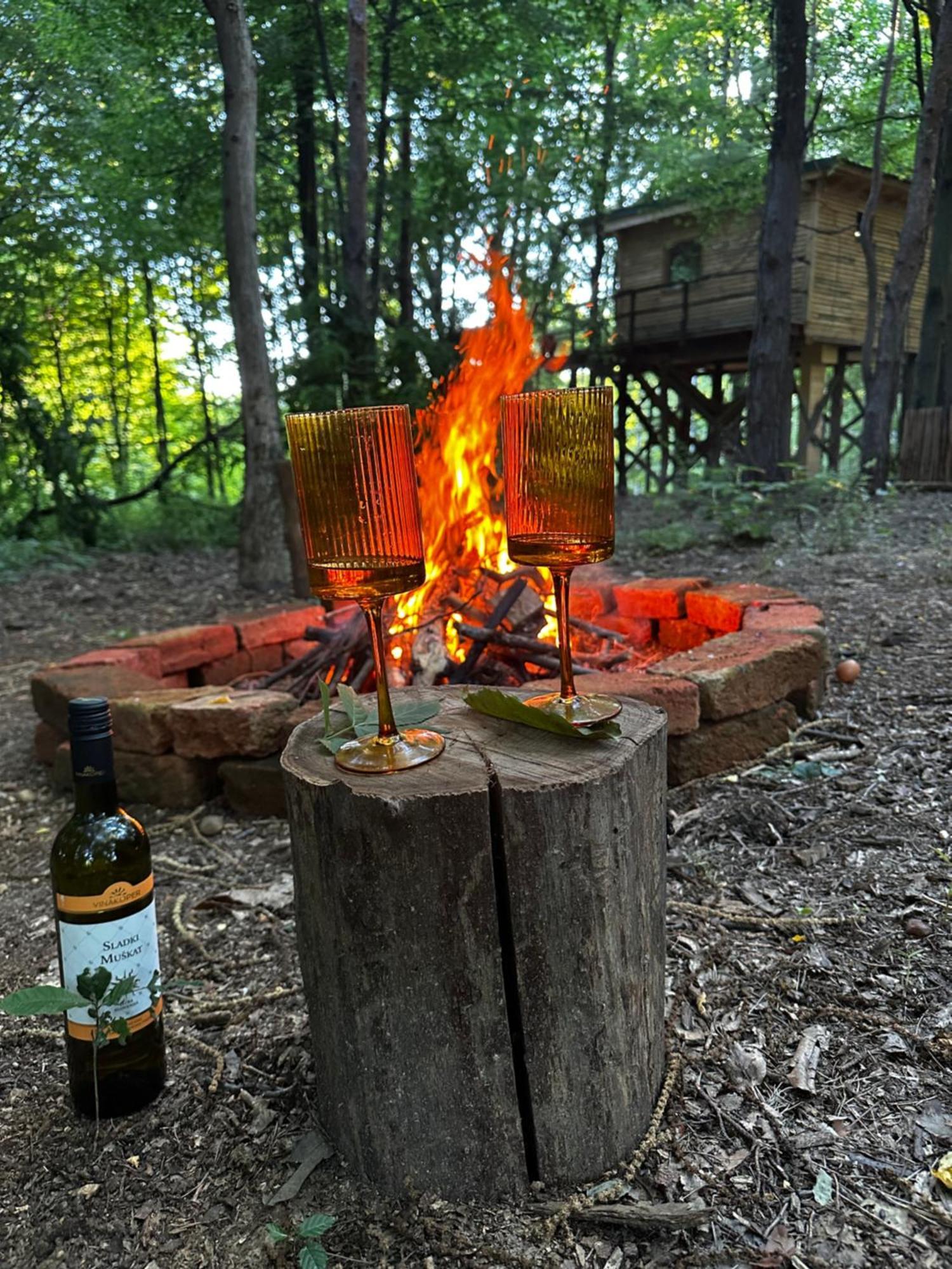 Living Forest Resort Moravske-Toplice Eksteriør bilde