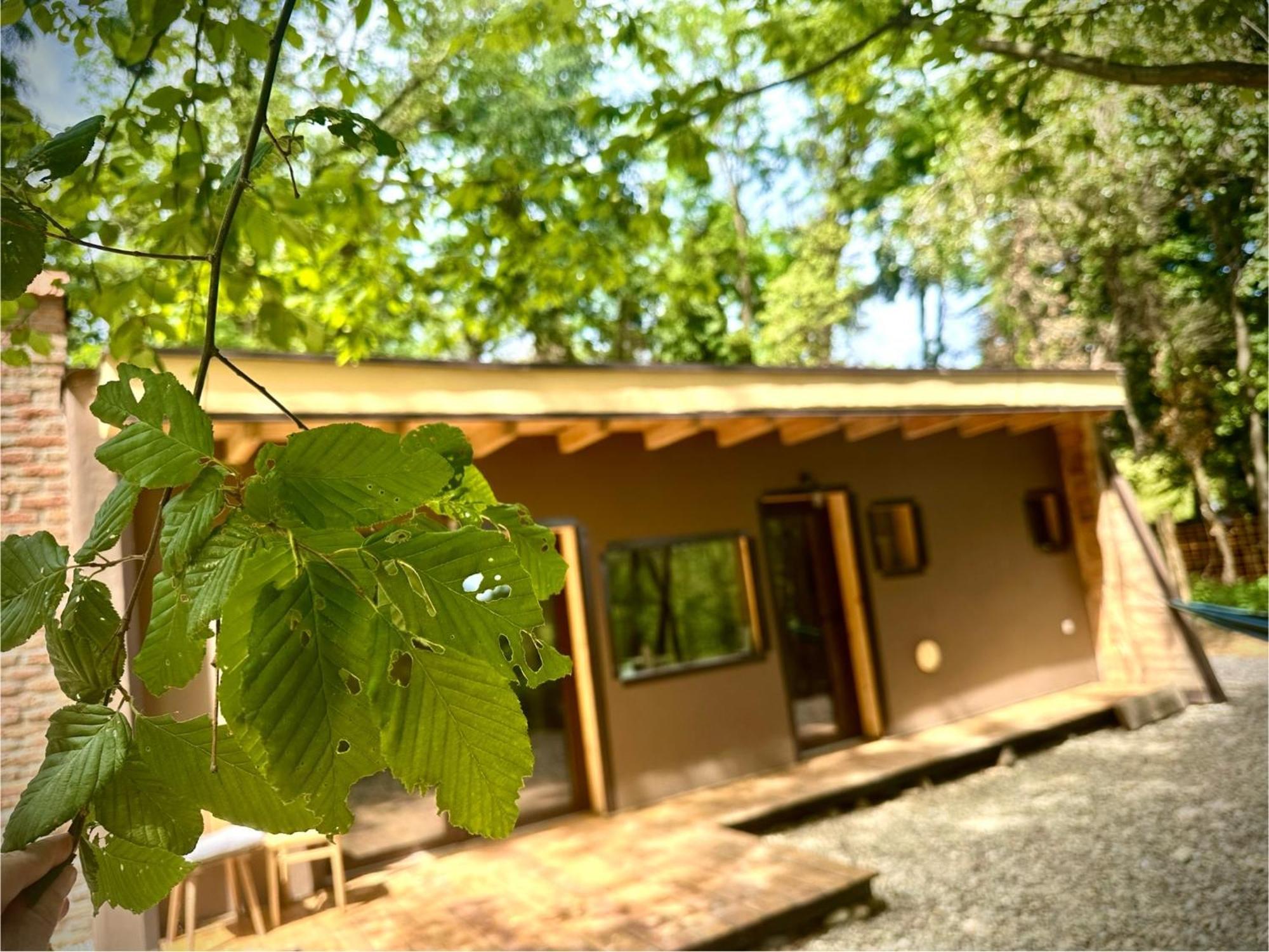 Living Forest Resort Moravske-Toplice Eksteriør bilde