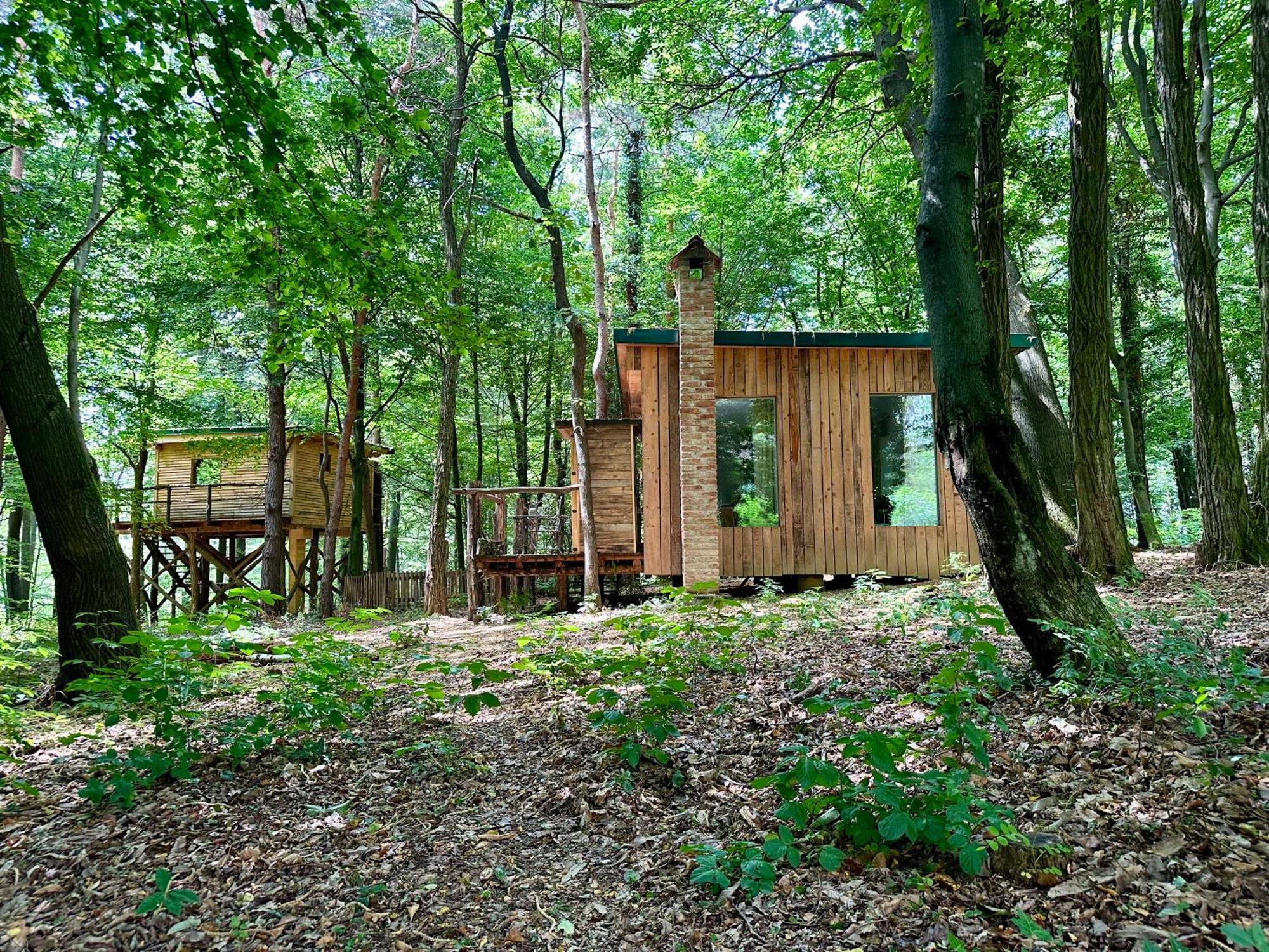Living Forest Resort Moravske-Toplice Eksteriør bilde